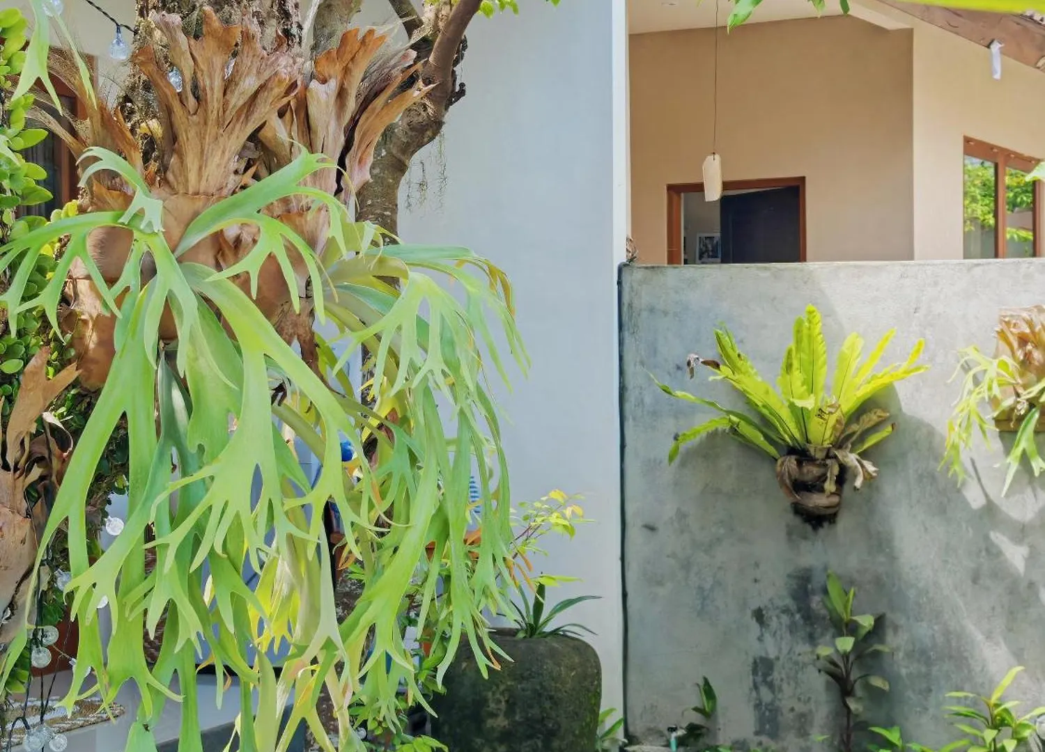 Guest house Female-Only Solowe Home House Ubud
